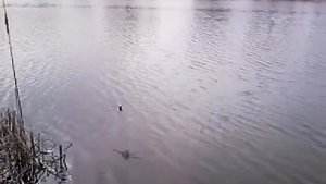 рыбалка на касынку