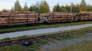 УЖД. Станция Угольная. Узкоколейка. Алапаевская Узкоколейная Железная Дорога.