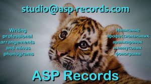 Подарок - Мария Лукач (Тигрёнок) Minus/Karaoke/Instrumental/Backing Track