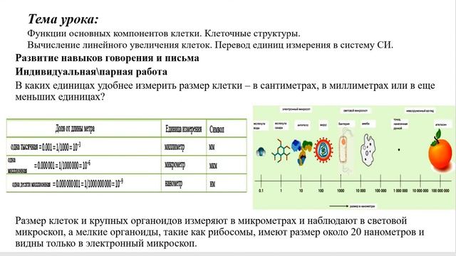 Биология_9 класс_1 четверть смотреть онлайн