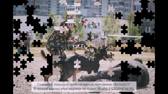 Питомник "Рабочие собаки"