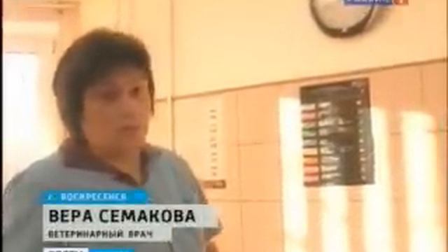 2012-01-25 Собака откусила пол лица http://vk.com/gorbunki