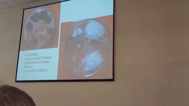 Болезни зерновых часть 3