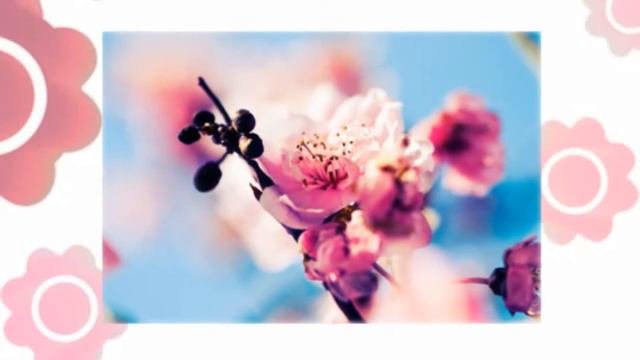 Поздравления с днем рождения Катя смотреть онлайн