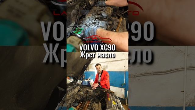 VOLVO XC90 съела масло от максимума до минимума за 7’000 км. Лечим заменой маслосъёмных колпачков.