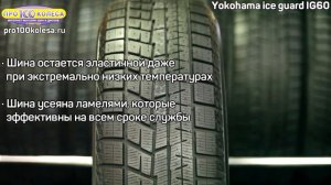 Yokohama Ice Guard IG60