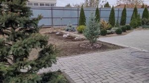 Ландшафтный дизайн сада. Посадка ели.