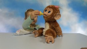 Обезьянка Fur Real Friends интерактивная игрушка распаковка Cuddles my Giggly Mo