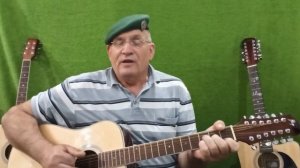 А на плечах у нас зелёные погоны... Пётр Болотов