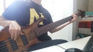 KINO (Viktor Tsoi, Viktor Zoi) - Gruppa Krovi  Blood Type (bass cover)