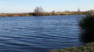 Река Мокша. Санаторий "Мокша". Ковылкино. Республика Мордовия