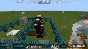 как зделать радужную овцу и перевёрнутую лошадь в Майнкрафте