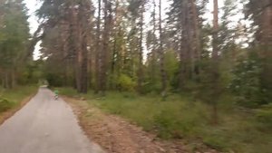 VLOG Отдыхаем на Турбазе "Олимп"/ 2 день/Полный релакс)
