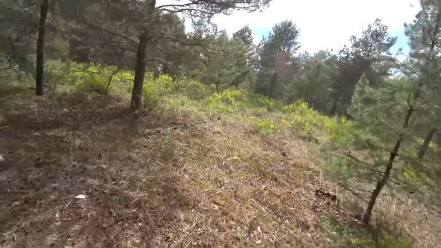 До нас там никто не был. Много верхового железа на торфяниках смотреть онлайн