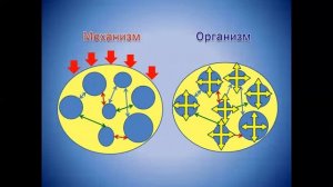 С.Жаданов. Уровни сознания.