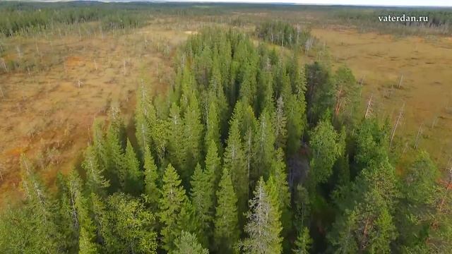 Архангельские болота-топи смотреть онлайн