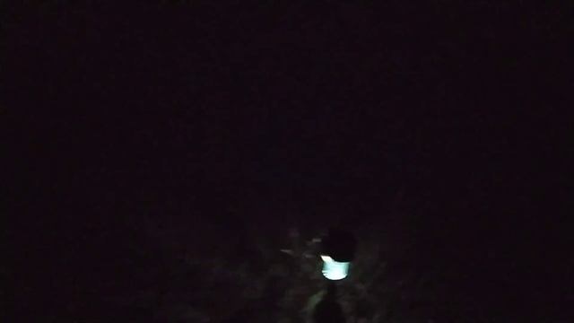 ВОРОТА СВЕТЯТСЯ В ТЕМНОТЕ единственные в Украине! Село ночью. Вид на ночной город!Садовые фонари.
