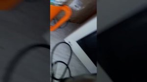 Как выявить тараканов в квартире