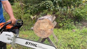 CHAINSAW STIHL MS 382 With 20” Bar and Felling Bumper Spike//cut test review