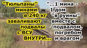 Тяжелые минометы 2с4 Тюльпан в Красногоровке разбирают части ВСУ на кирпичи минами в 130 и 240 кг