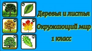 Деревья и листья Окружающий мир  1 класс.mp4