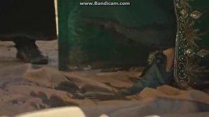 Приезд Хюмашах Султан.