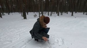 пробуем шведскую квашенную селедку сурстреминг