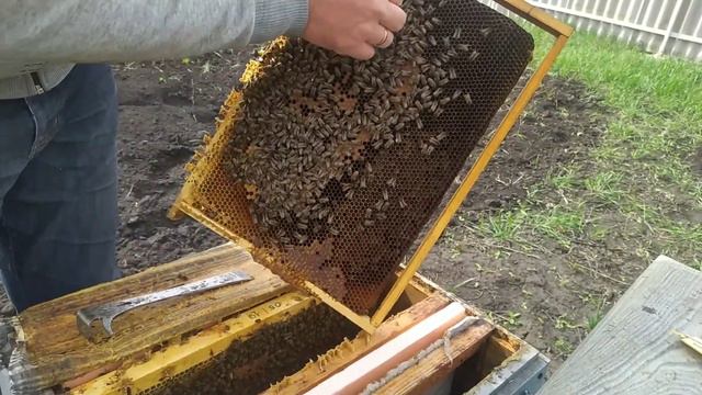 Восстановление слабых семей. смотреть онлайн