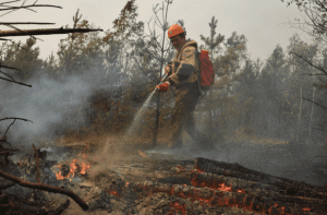 Режим ЧС: как спасатели борются с лесными пожарами на Дальнем Востоке и в Сибири