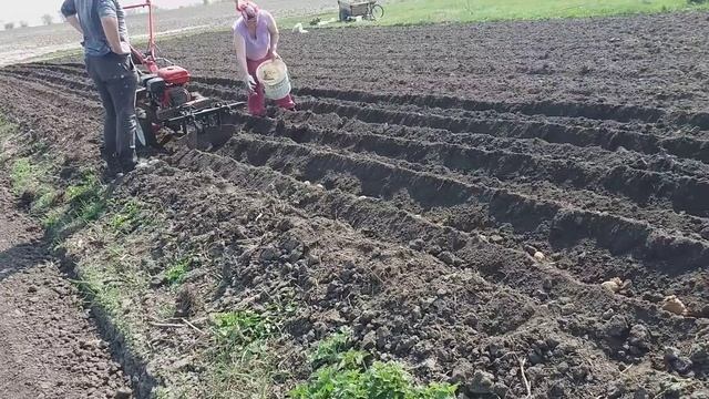 посадка картошки мотоблоком смотреть онлайн