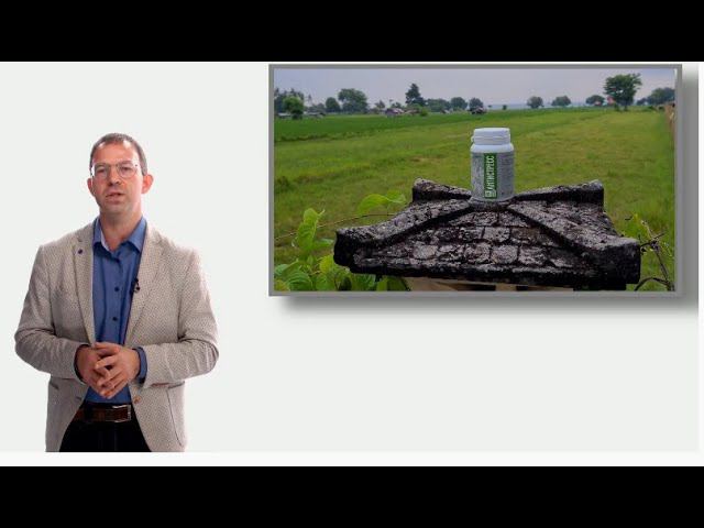 FORISE GROUP. АнтиСтресс - природный антидепрессант. Врач Рудин П.В.