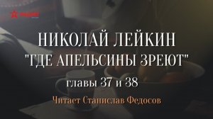 Николай Лейкин. «Где апельсины зреют». Аудиокнига. Главы 37 - 38