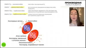 Кровь, форменные элементы, свертывание | Катя Грицай | Биология ЕГЭ