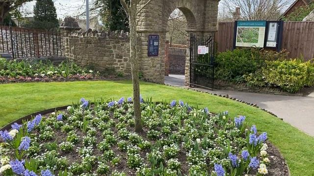 Vlog 284 - Комбинации растений для прекрасного сада смотреть онлайн