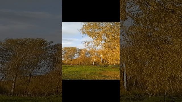 Золотая осень