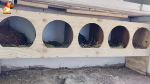 Гнезда с круглым лазом из старой мебели