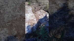 плиты озера Шира Хакасия