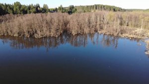 село Новый Буян /С высоты птичьего полёта /Самарская область