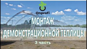 Демо теплица [часть 3] Посадили 22 разных гибрида в самодельные маты, организация полива.