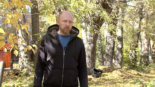 КАК СОХРАНИТЬ САЖЕНЦЫ ДО ВЕСНЫ. ОПЫТ ПРОФЕССИОНАЛОВ