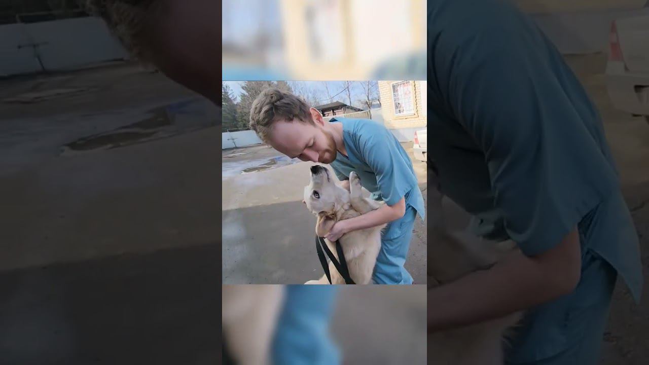 Проша до Сих пор не нашел дом Мамы и папы найдитесь доставляем куда угодно