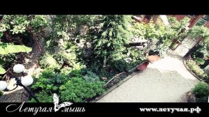 Гостиница Летучая Мышь, Алушта