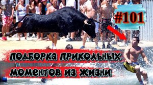 смешные видео #101 / подборка приколов до слёз / лучшие приколы