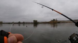 ЩУКА режет Поводки | Флюрокарбон или Струна? Daiwa Certate