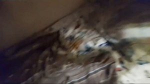 ДАНА СТАЛА МАЛЕНЬКОЙ