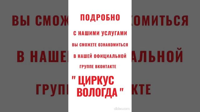 Ролик, Организация праздников "Циркус"