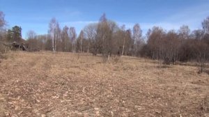 Заброшенная деревня Талашманы (Сталк исследование)