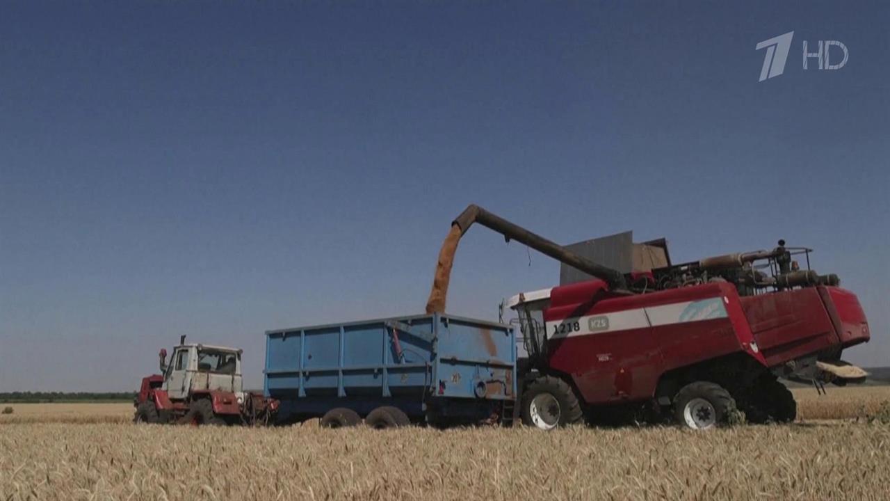 Контрольная проба украинского зерна подтвердила опасное содержание пестицидов