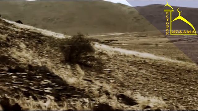 Сира пророка. Часть 1 смотреть онлайн