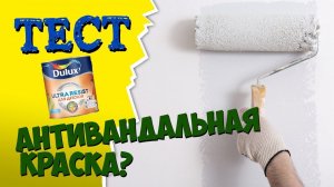 АНТИВАНДАЛЬНАЯ КРАСКА для стен: Суровый тест от ПРОФКОМ